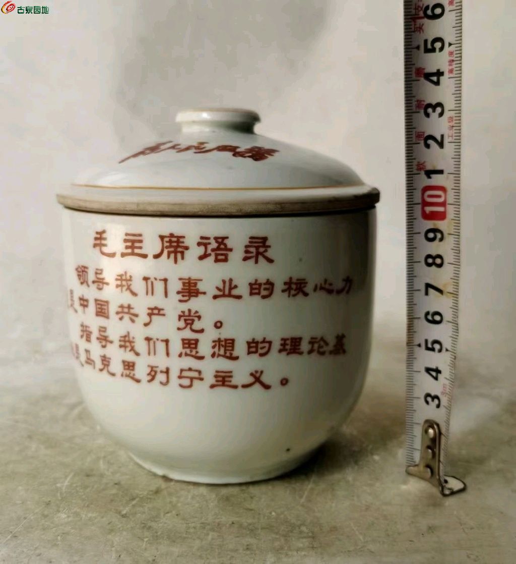 1747114340136.xfile.jpg