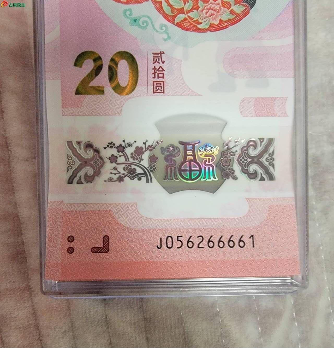 18023.jpg