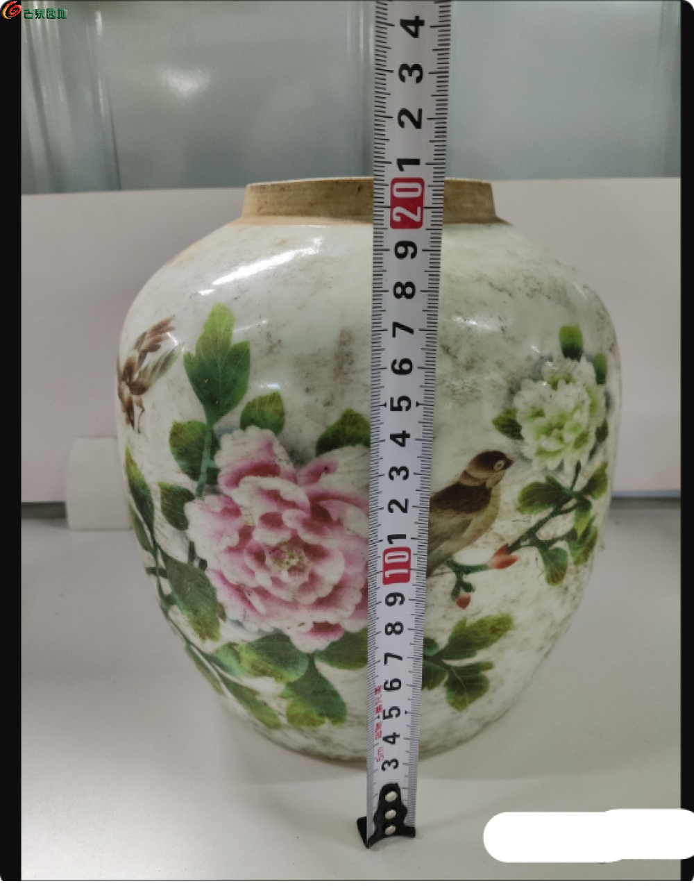 局部截取_20250213_011155.png