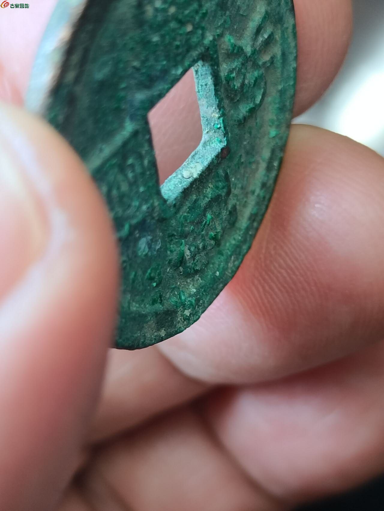 82639.jpg