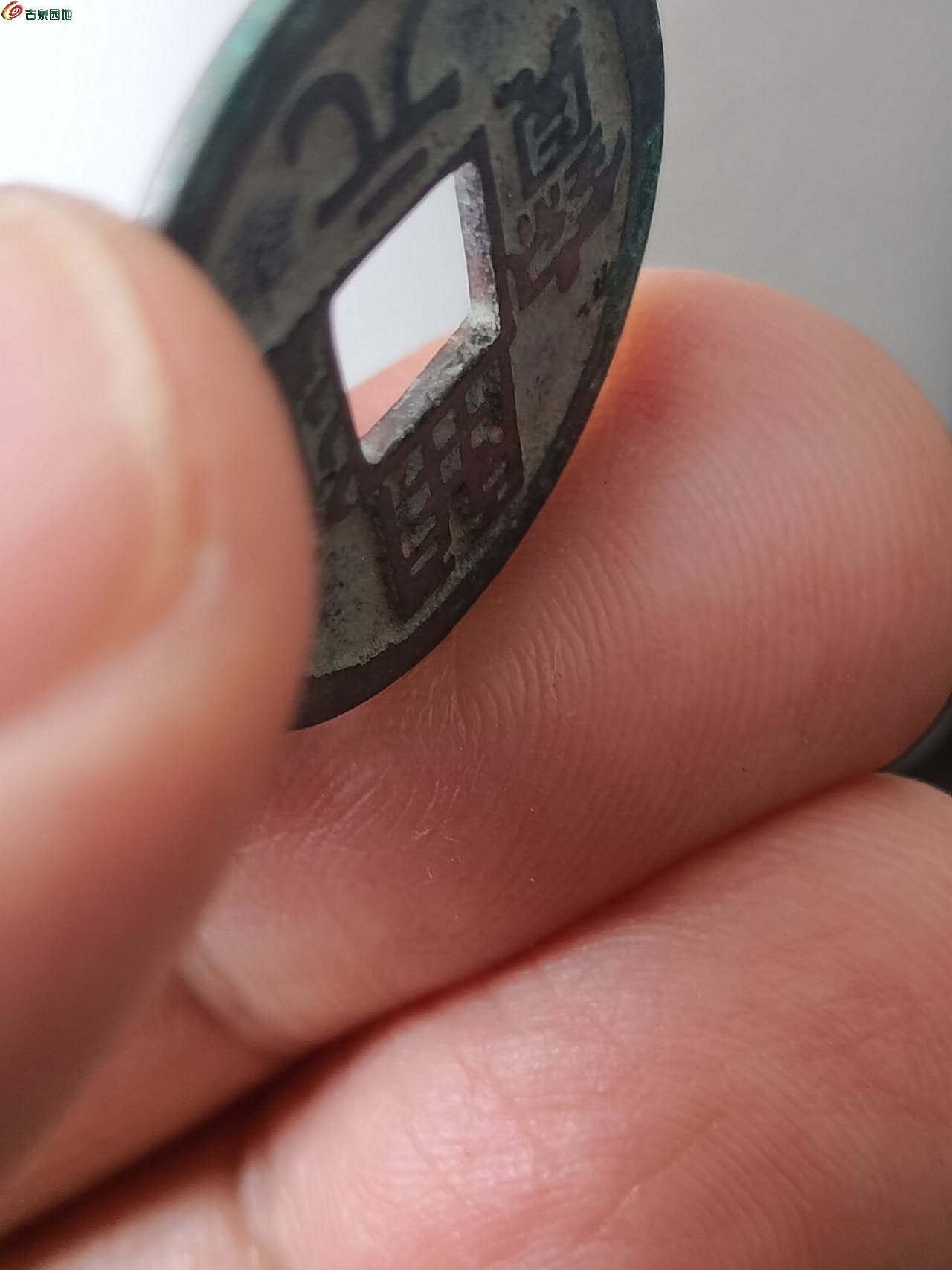 87977.jpg