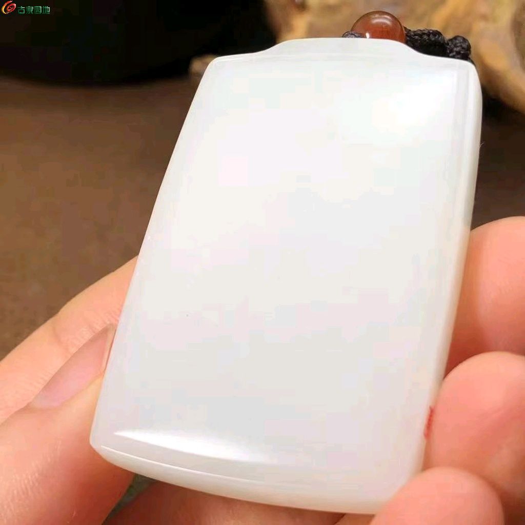 1746100220864.xfile.jpg