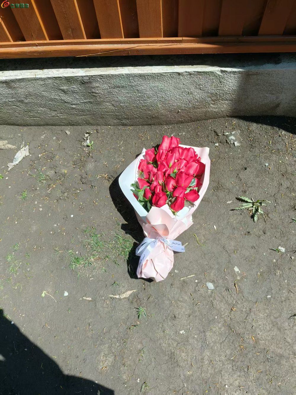 微信图片_20250504155622.jpg
