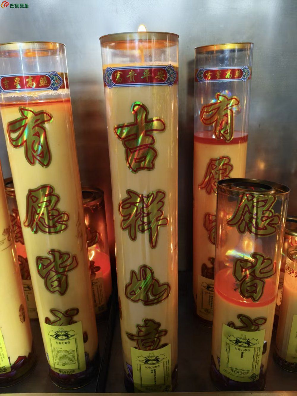 微信图片_20250504155632.jpg
