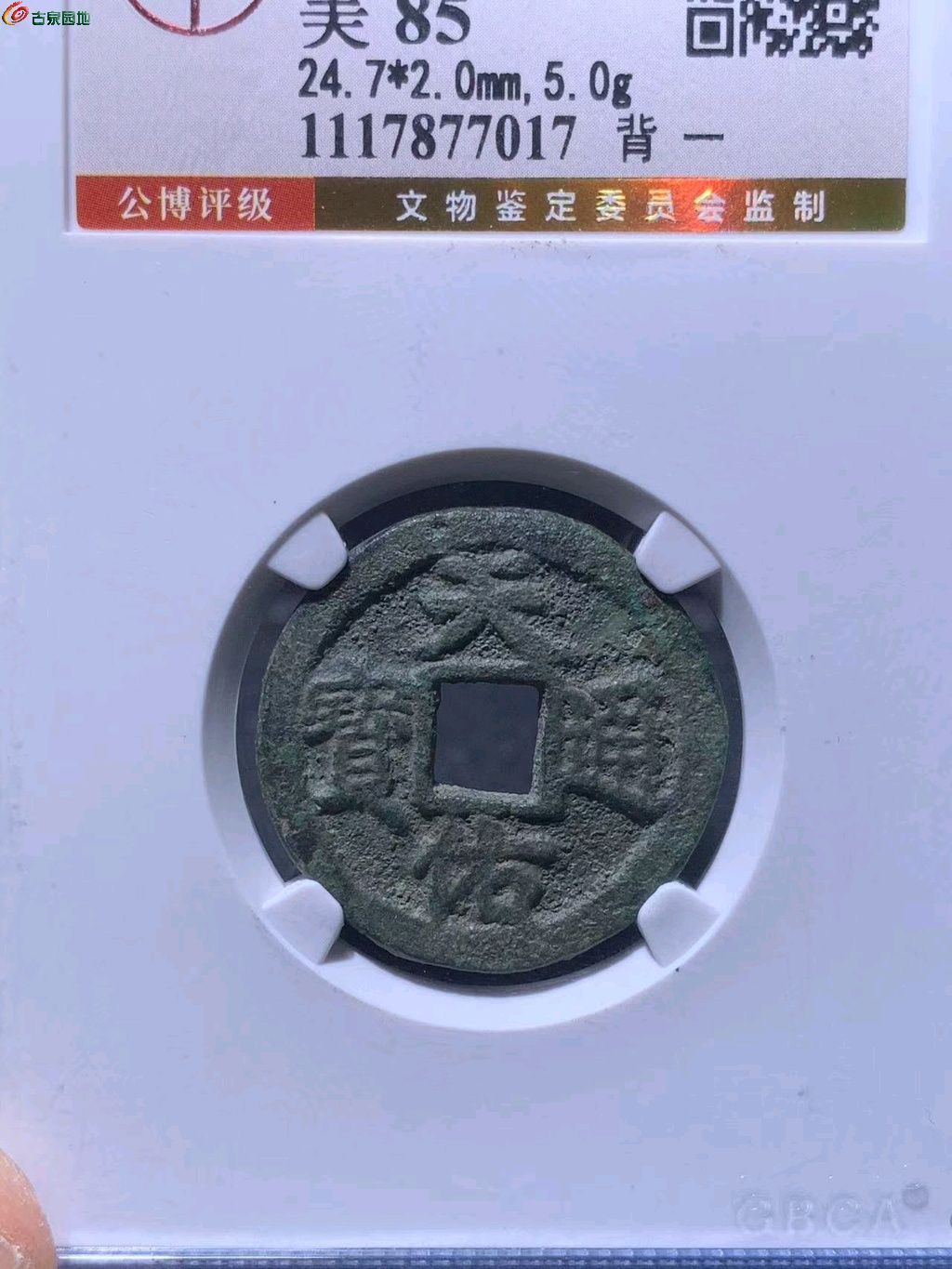 ͼƬ´ڴ򿪲鿴