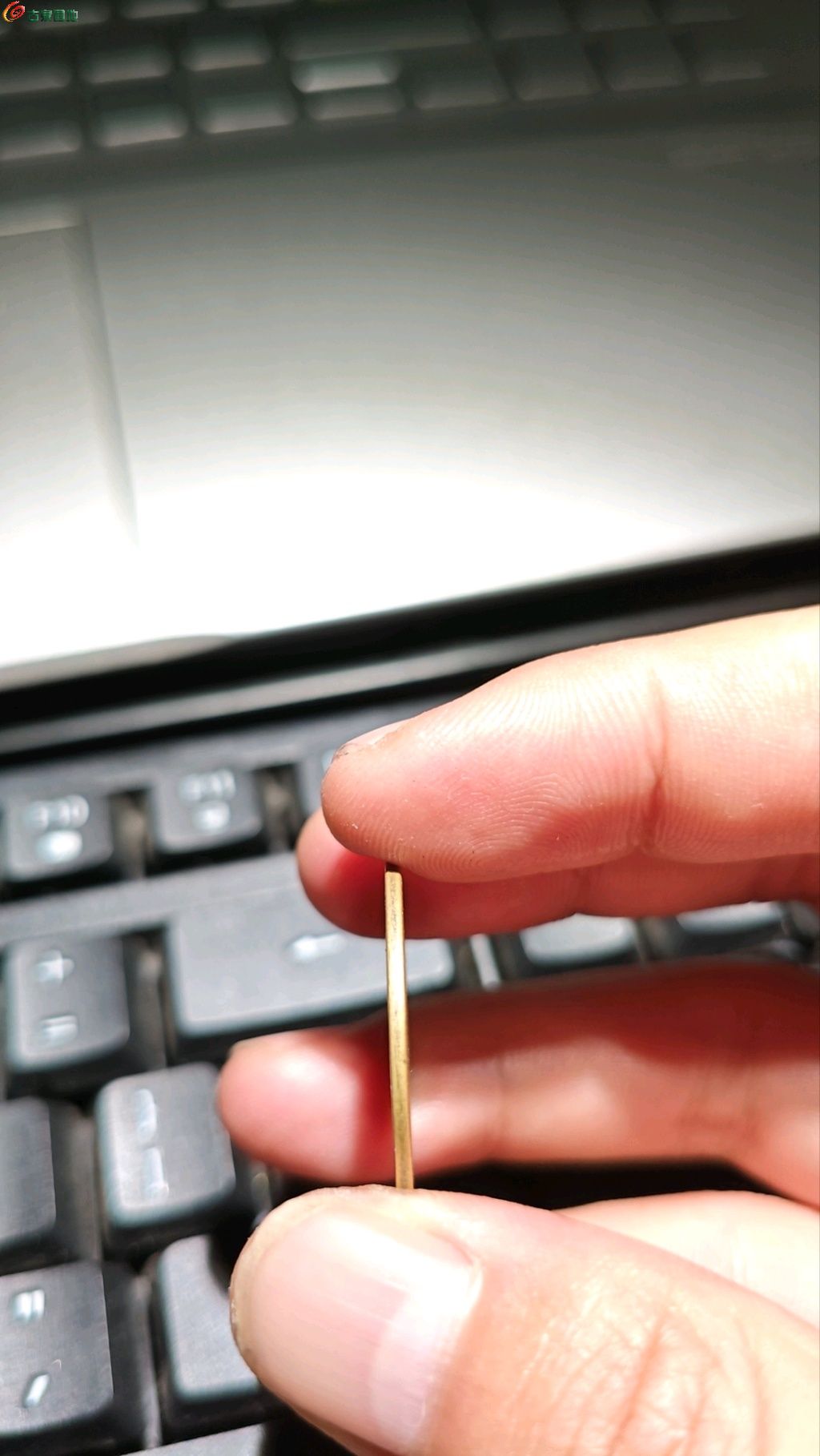 1746614049281.xfile.jpg