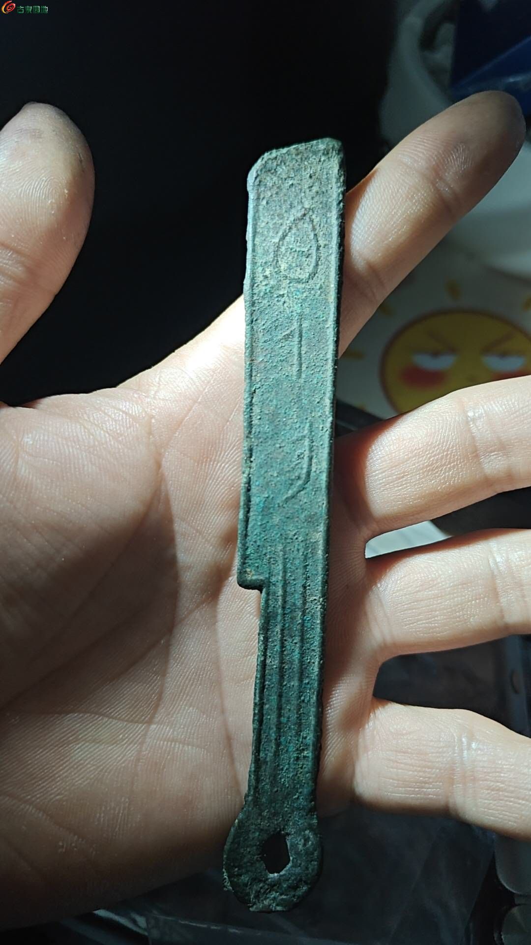 76366.jpg