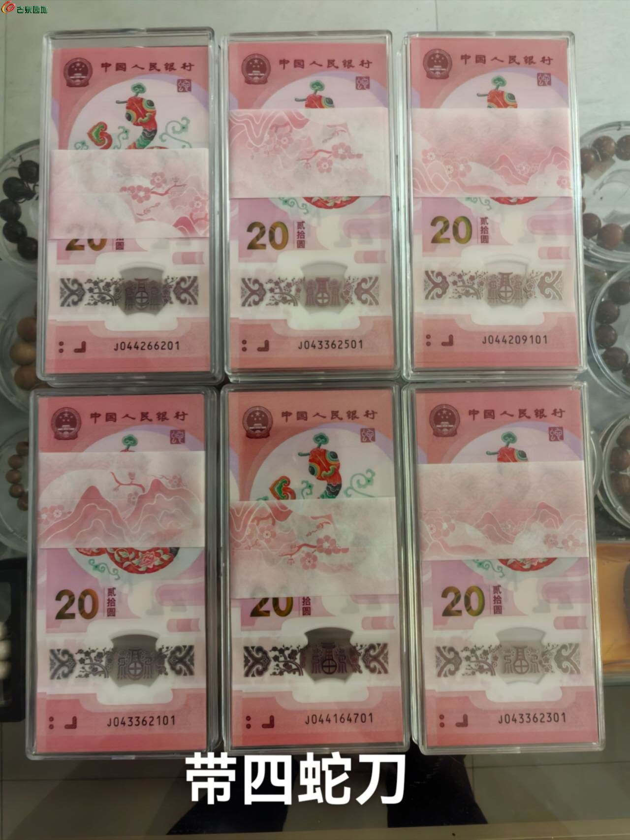 19945.jpg