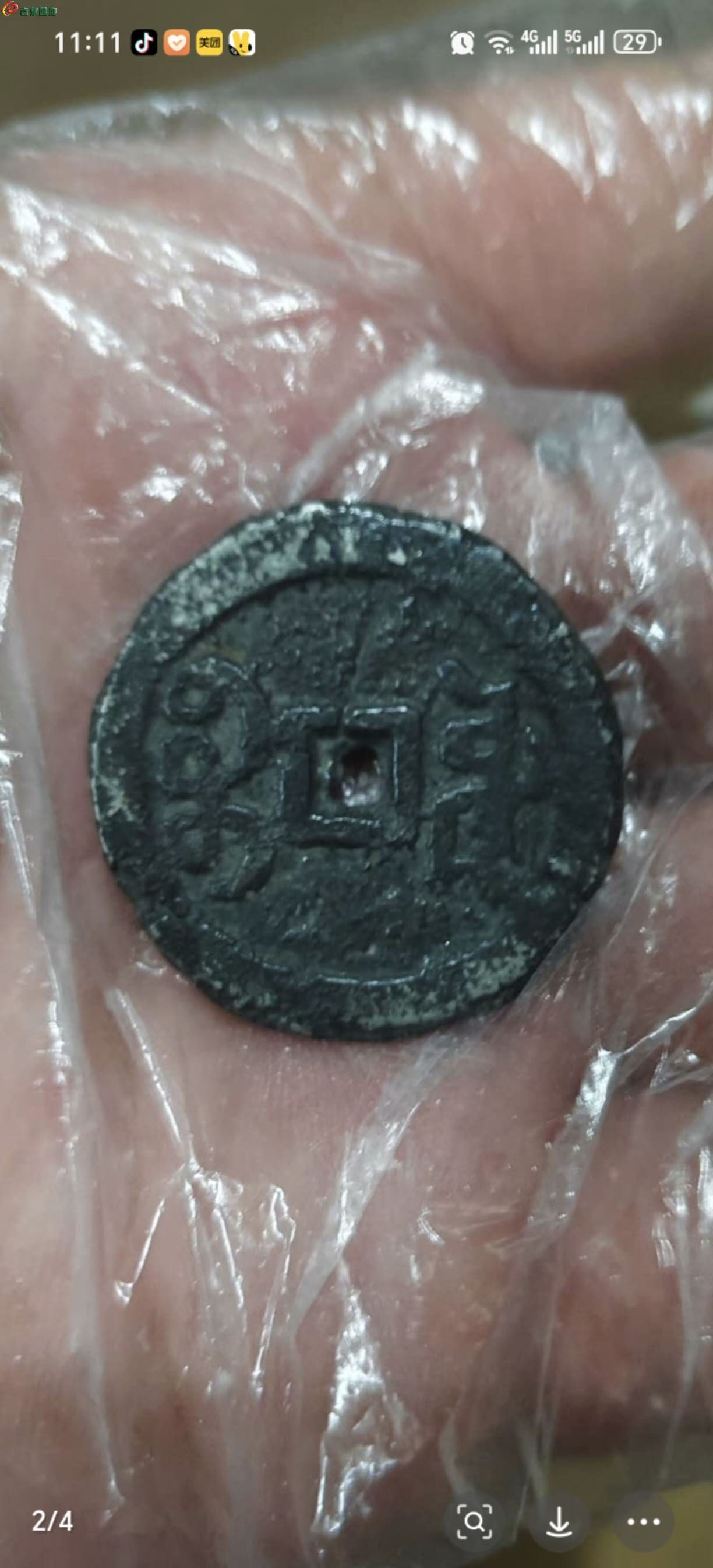 11896.jpg