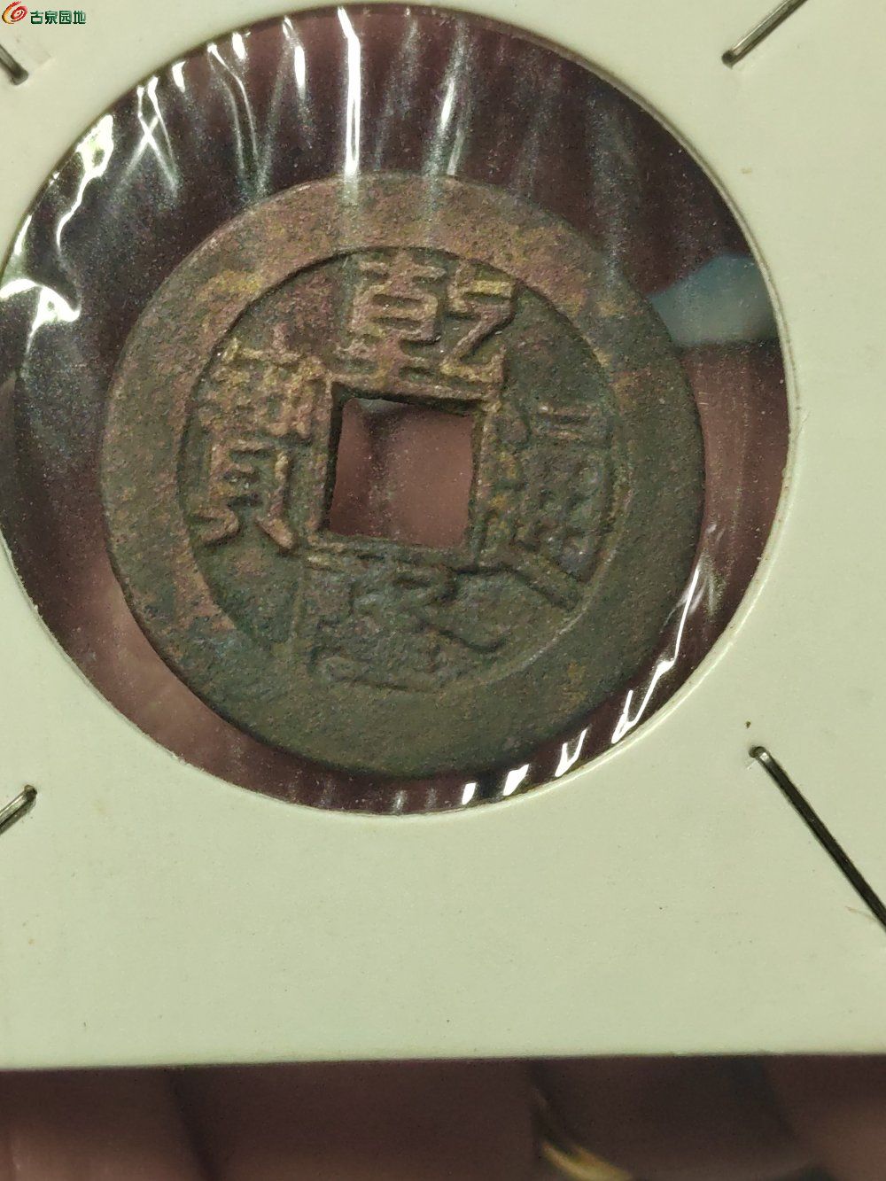 1747574401147.jpg