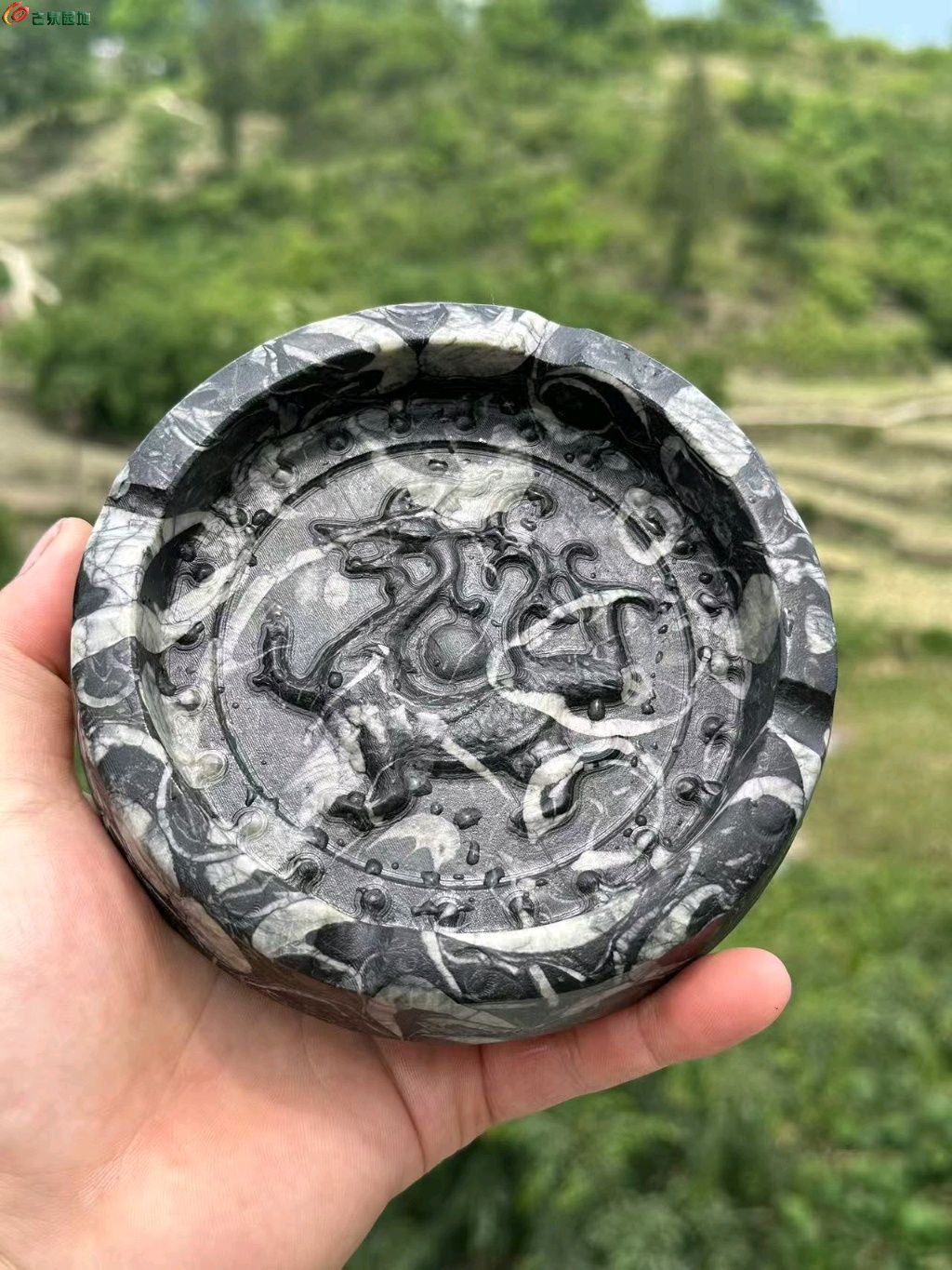 图片点击可在新窗口打开查看