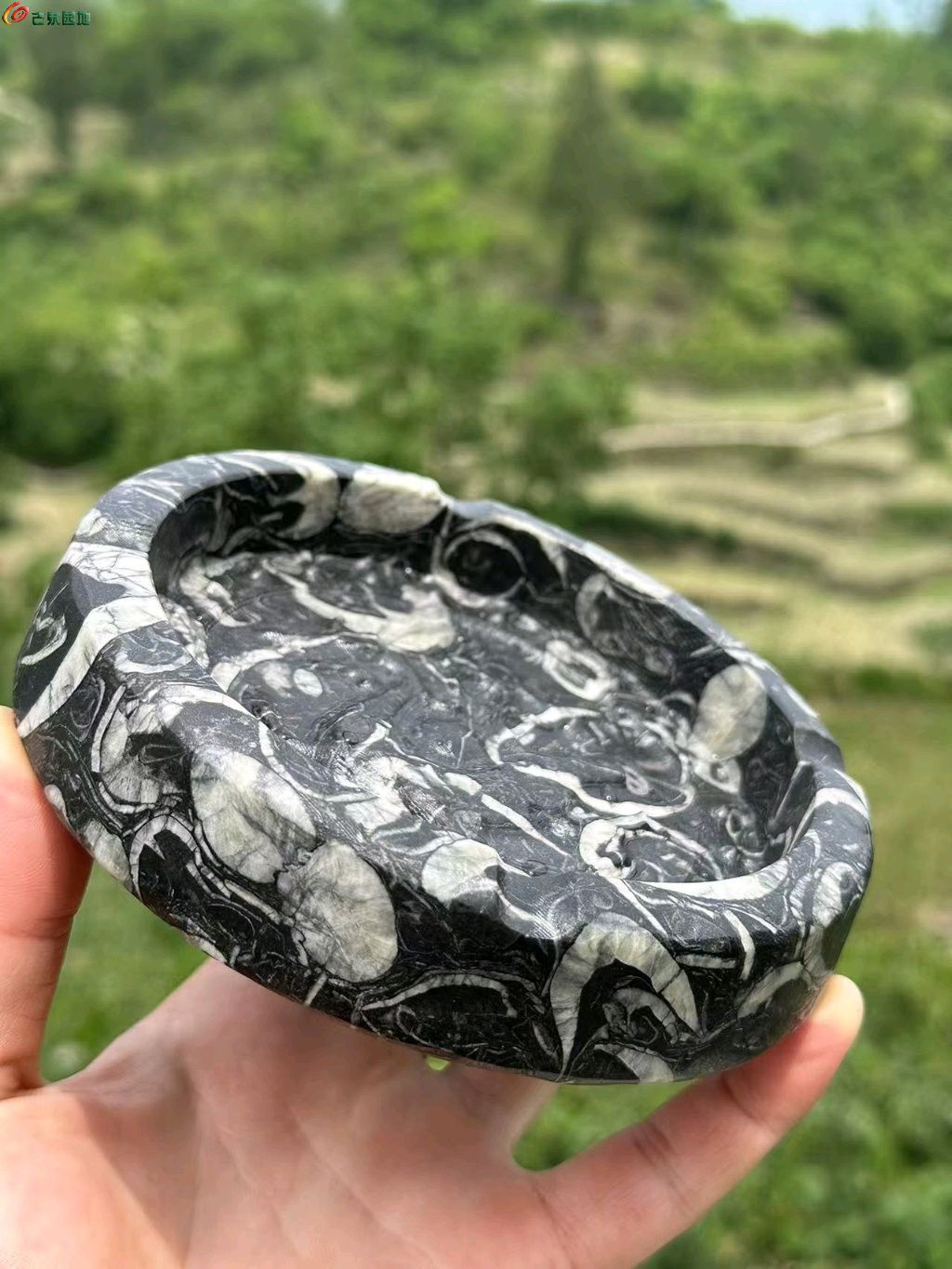图片点击可在新窗口打开查看