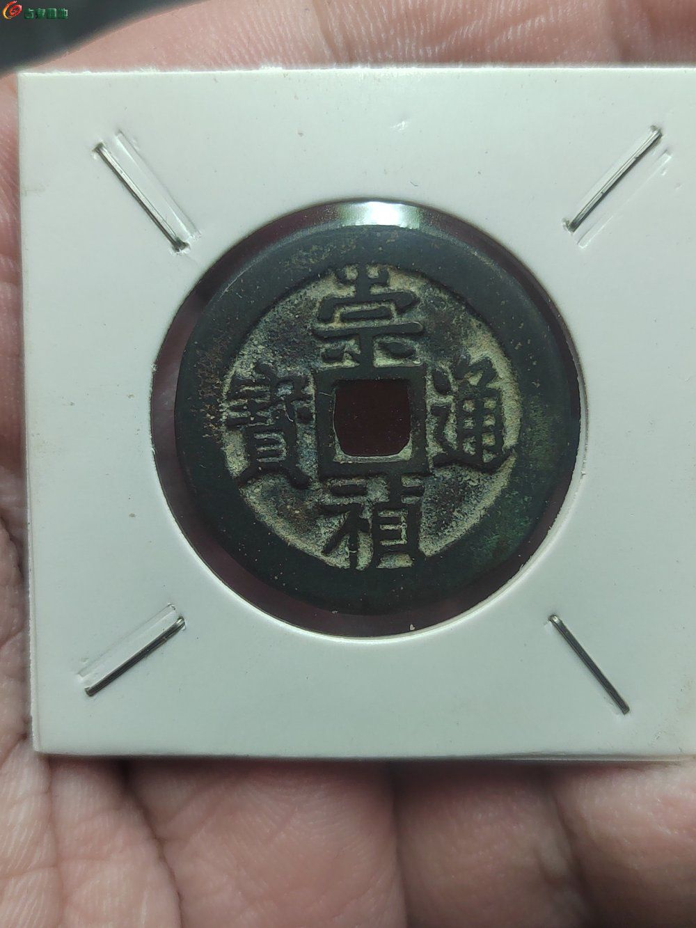 1745085085069.jpg