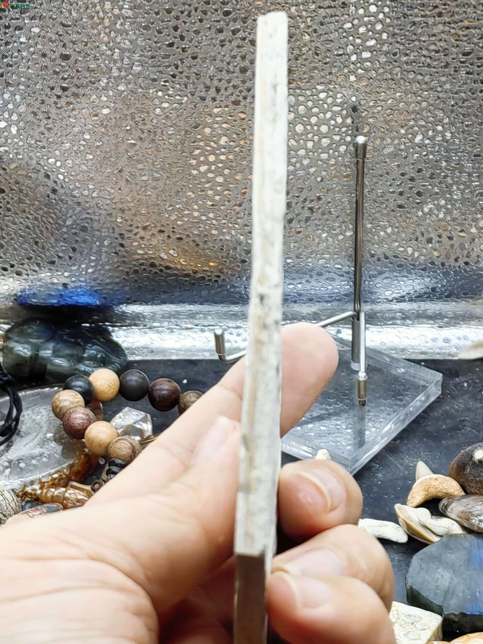 史前侏罗纪时期出的狼鳍鱼化石摆件3.jpg