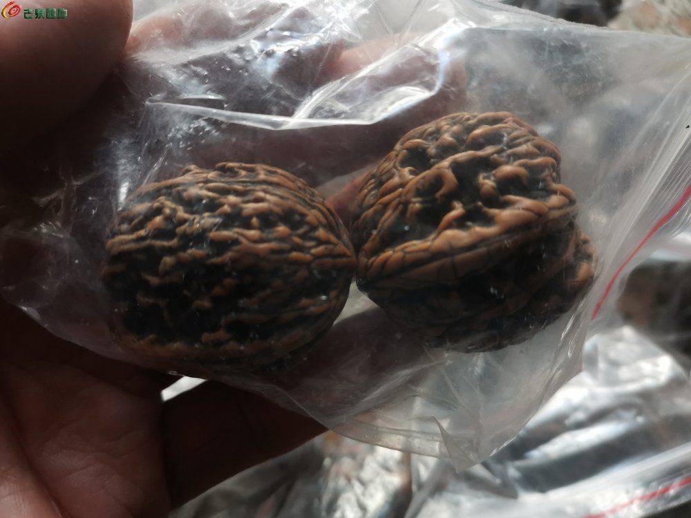 IMG_20250424_150530_edit_161643636623769