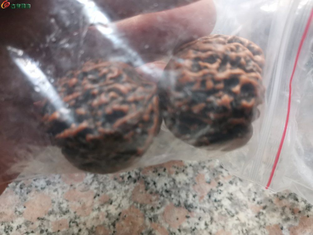 IMG_20250424_150542_edit_161656627739392