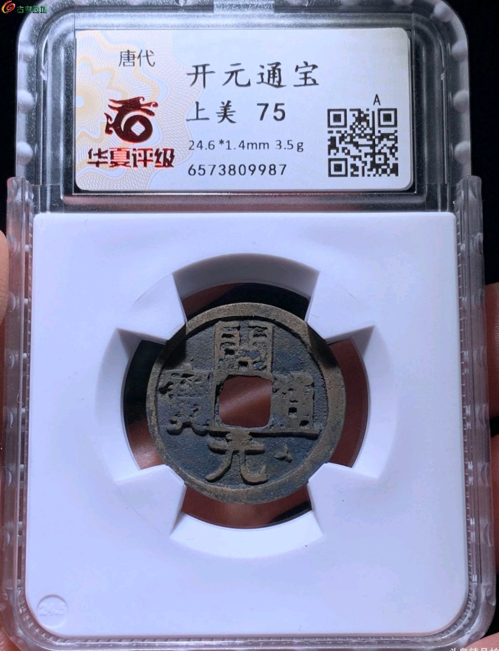 1745934363936.xfile.jpg