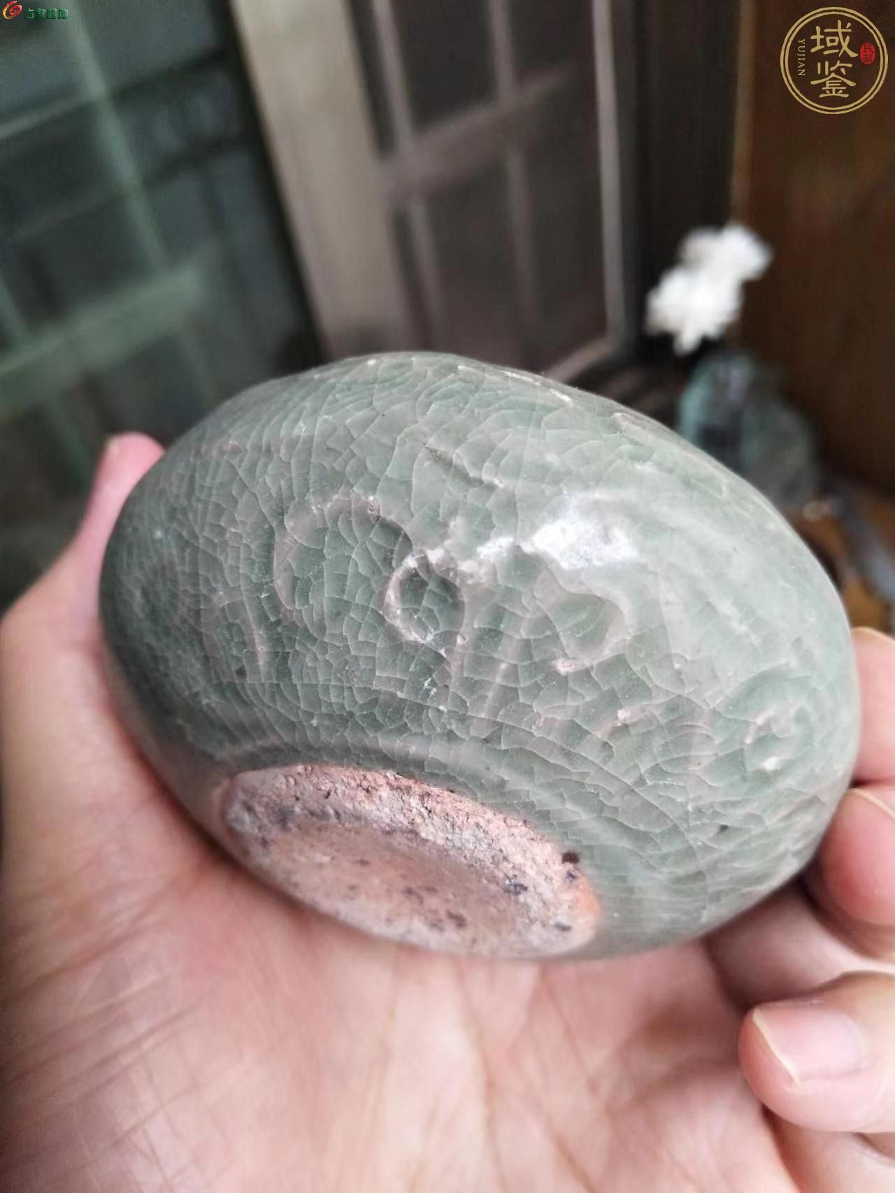 1746096657602.jpg