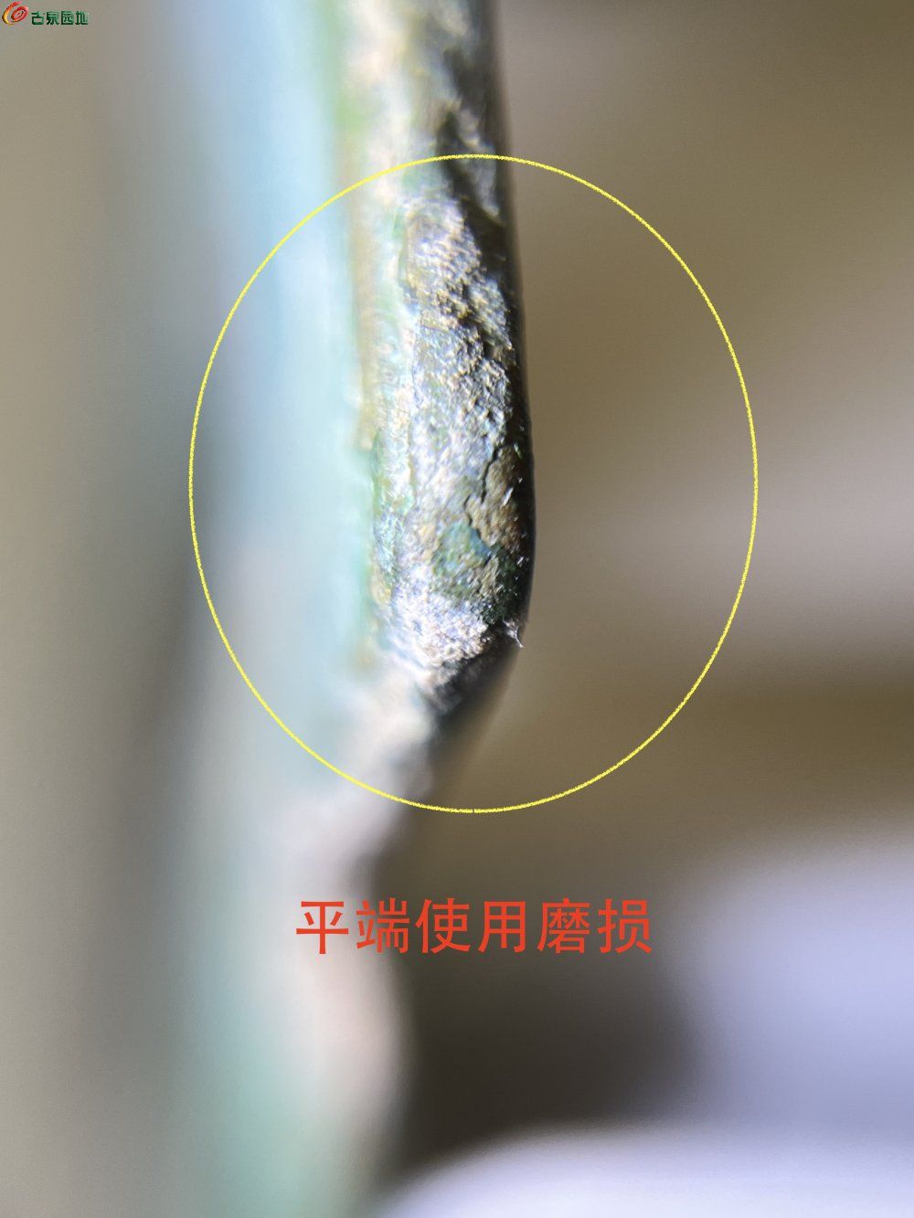 IMG_0289 2拷貝.JPG