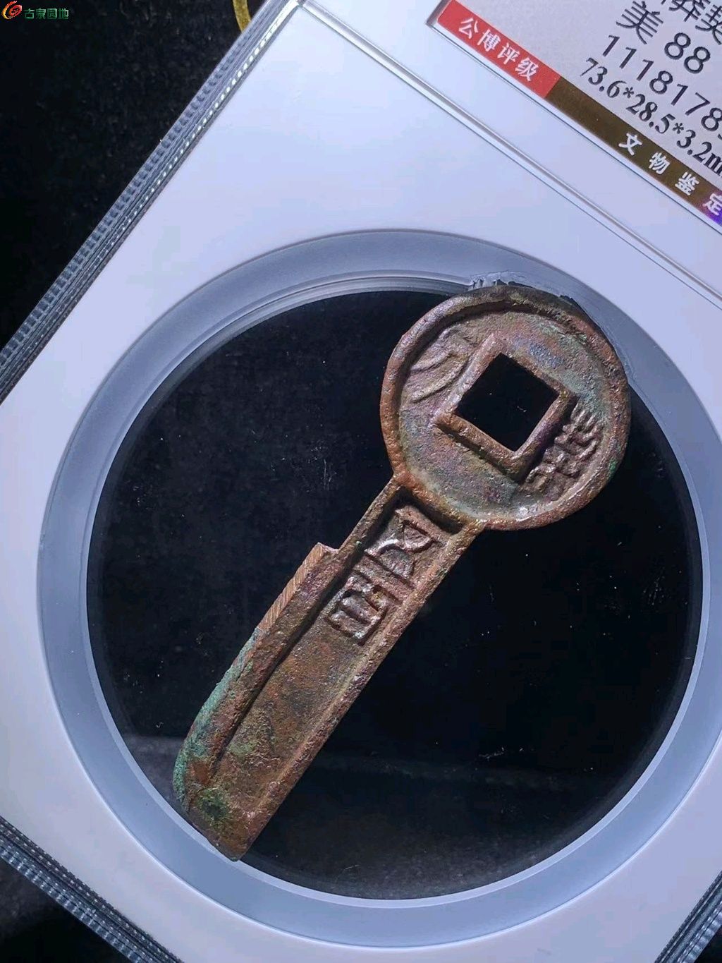 图片点击可在新窗口打开查看