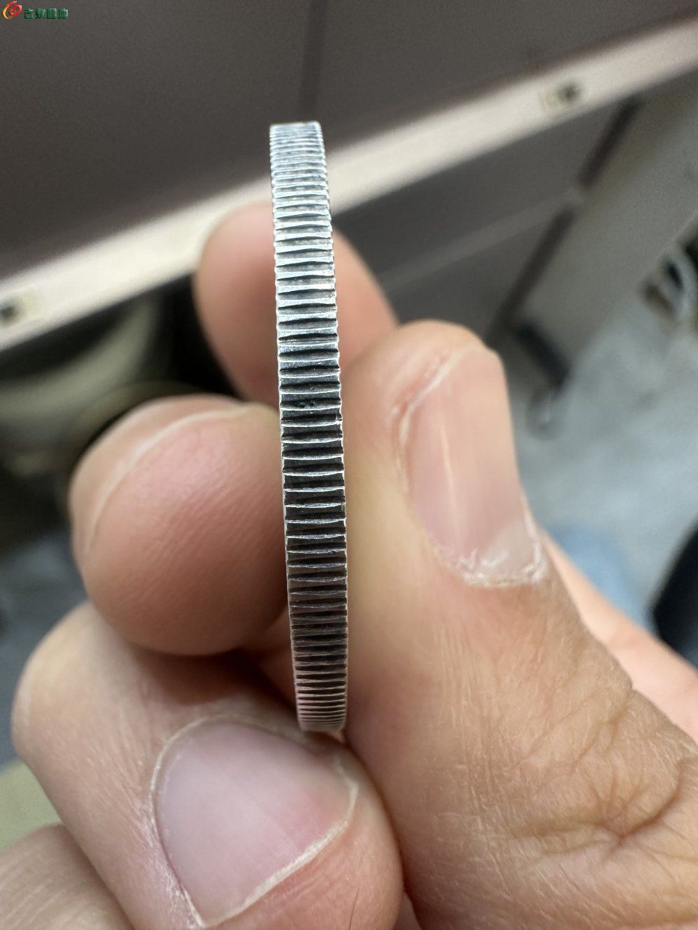 83898.jpg
