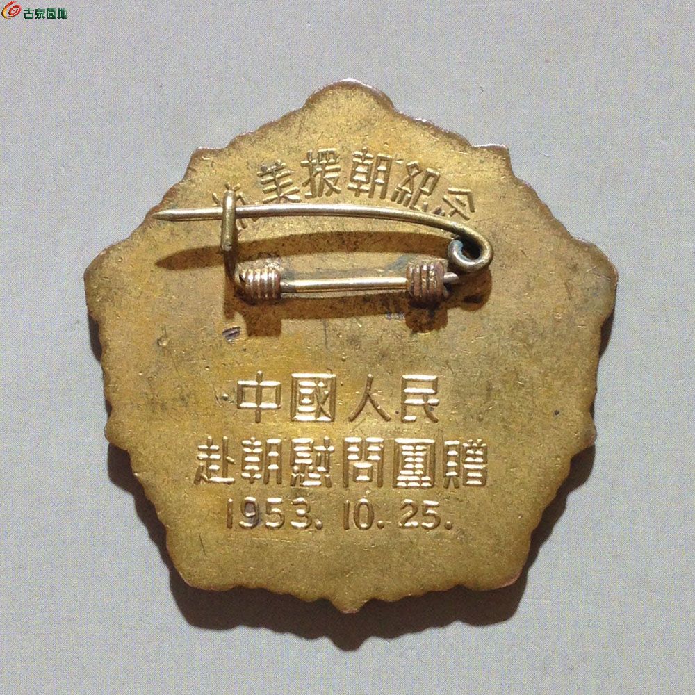 20250426和平鸽B.jpg