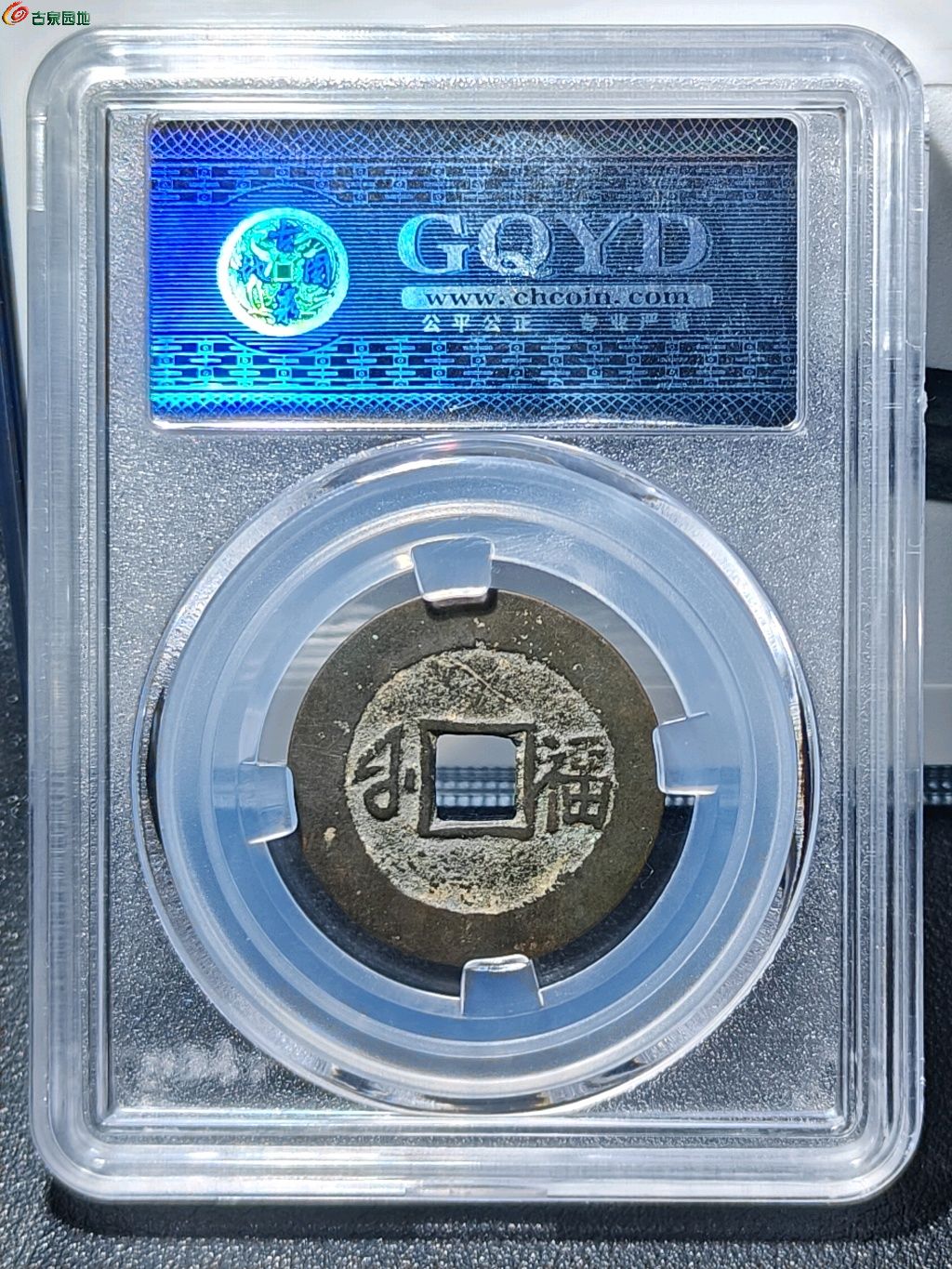 1747031726227.xfile.jpg