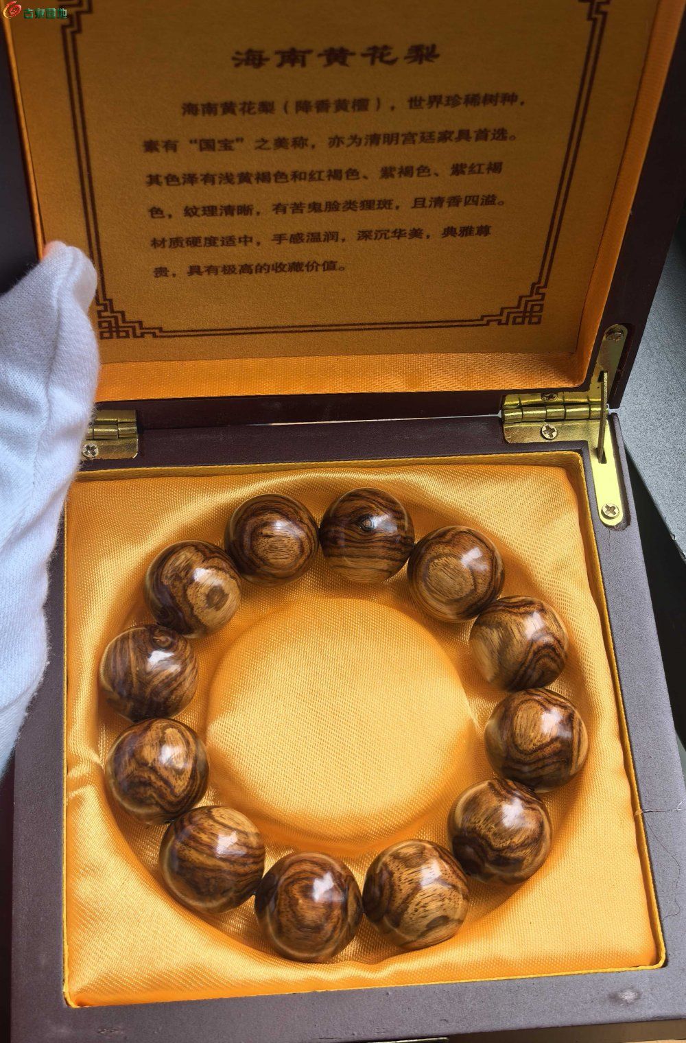 ͼƬ´ڴ򿪲鿴