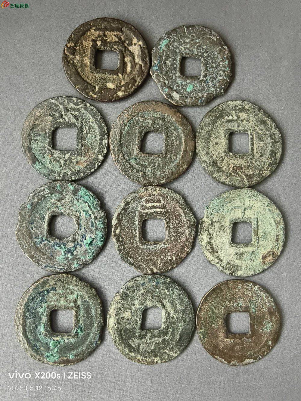 53597.jpg
