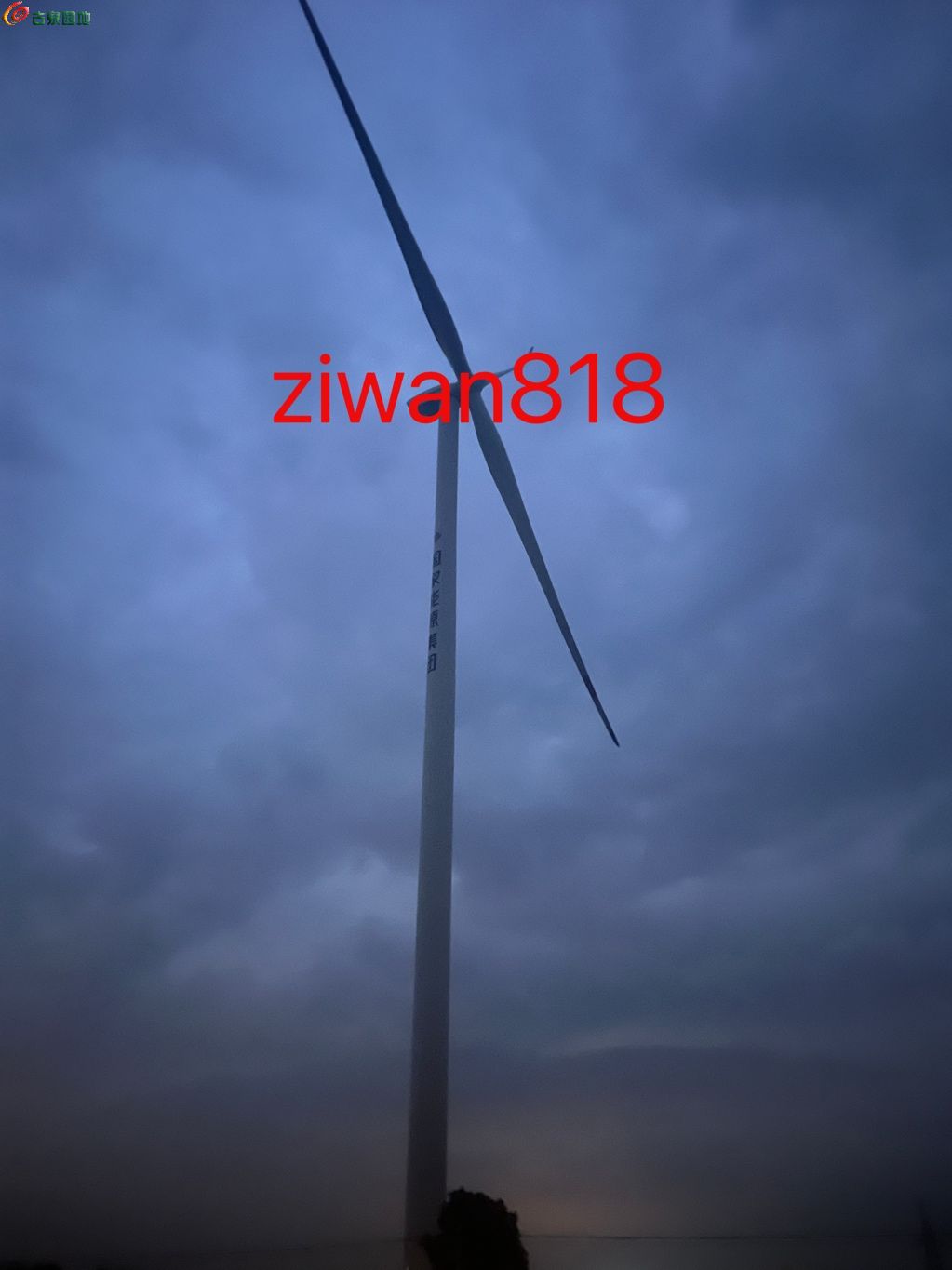 1747641286314.xfile.jpg