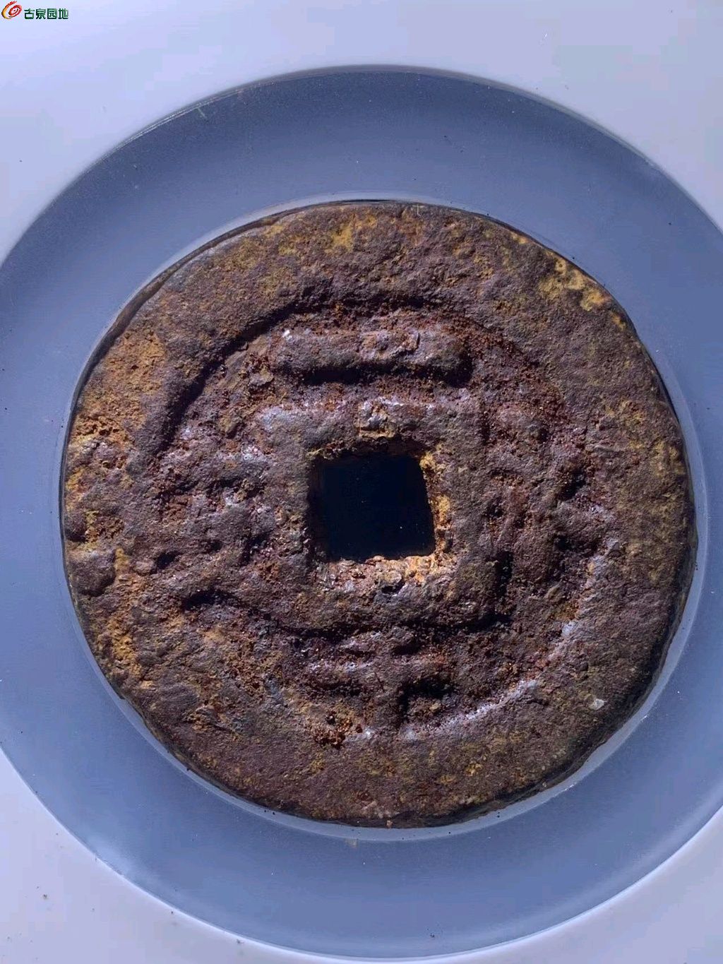 ͼƬ´ڴ򿪲鿴