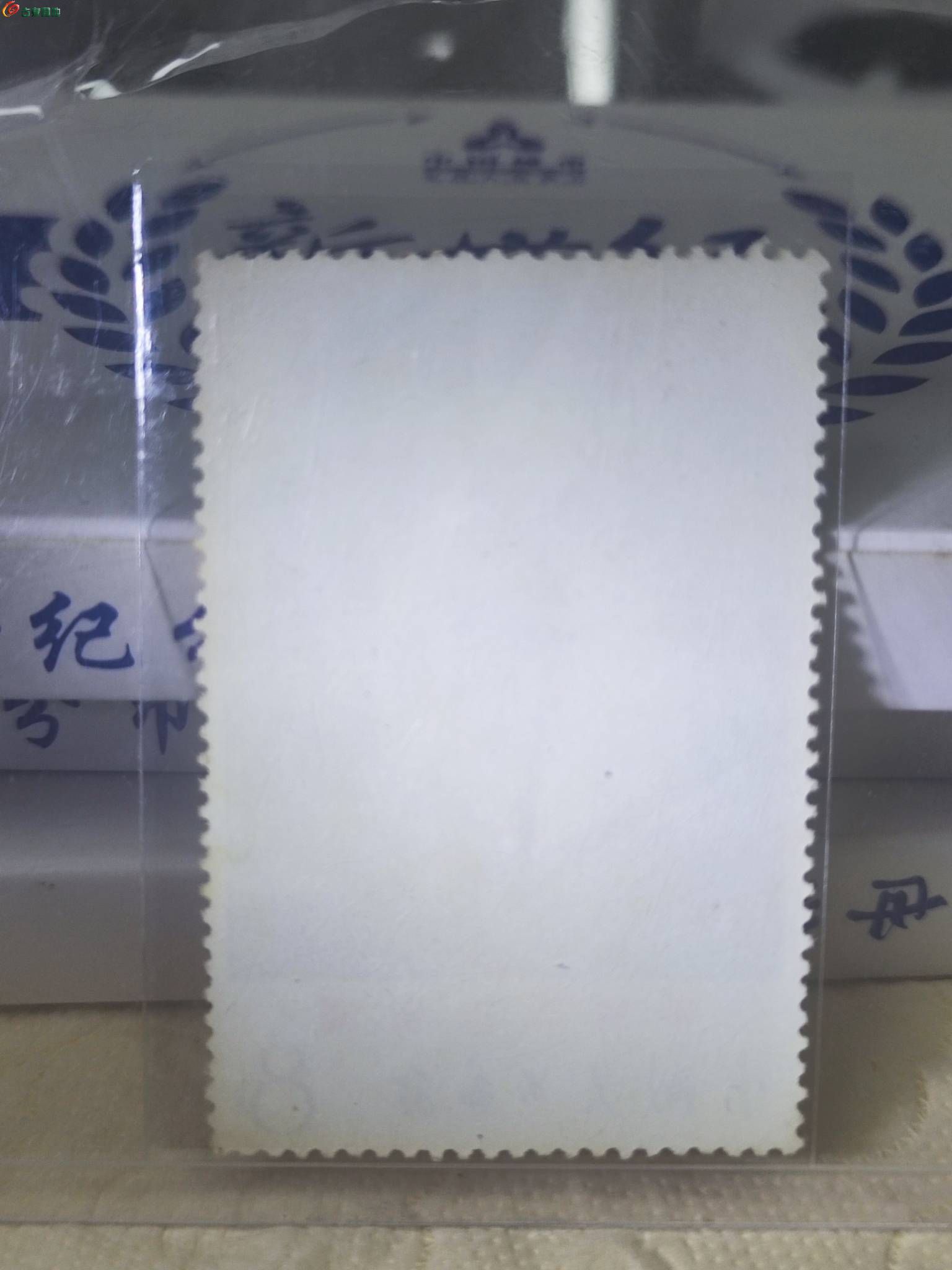7519d589-e659-4b5c-aaaa-c0a483000ba8.jpg