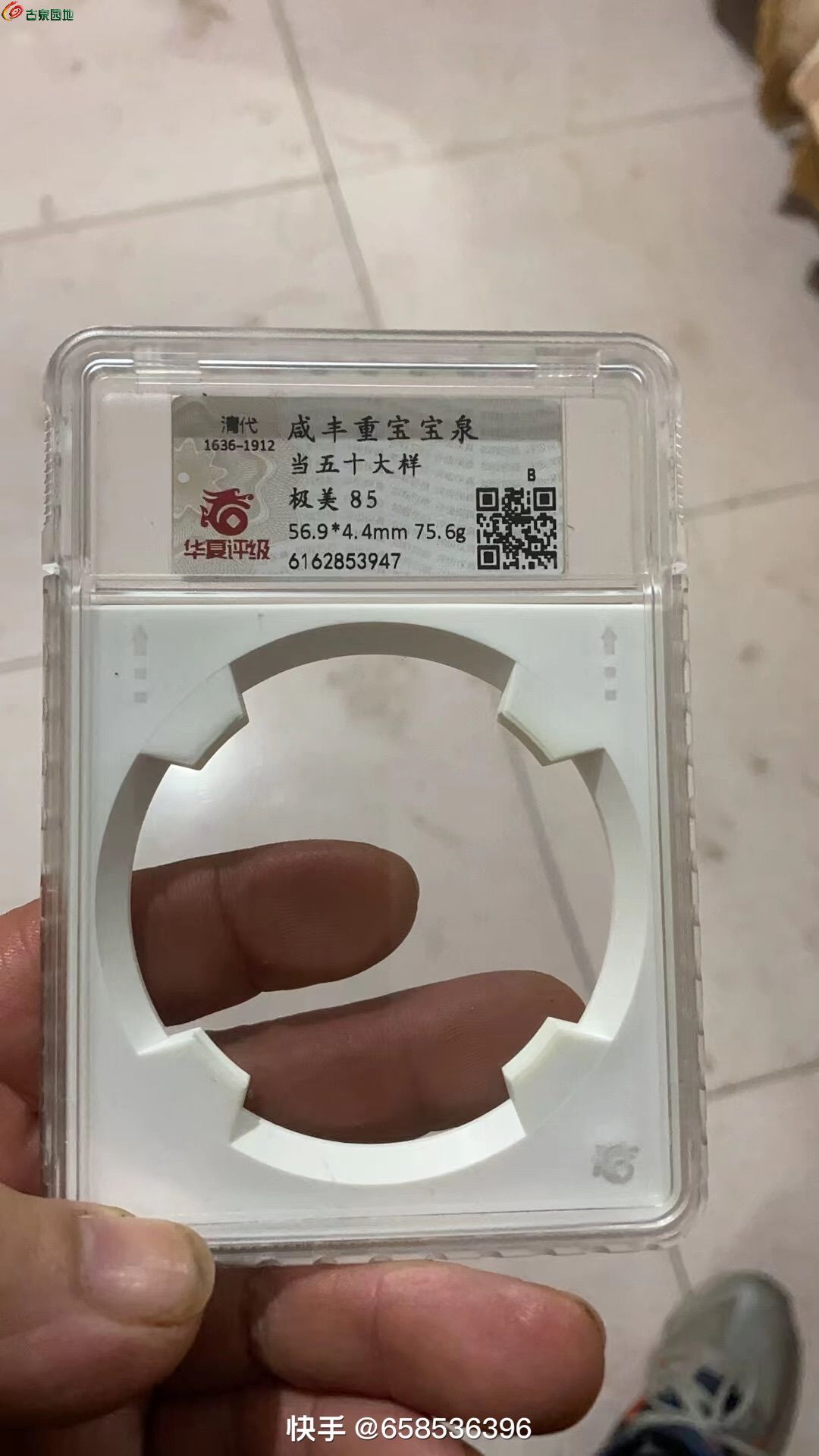 80543.jpg