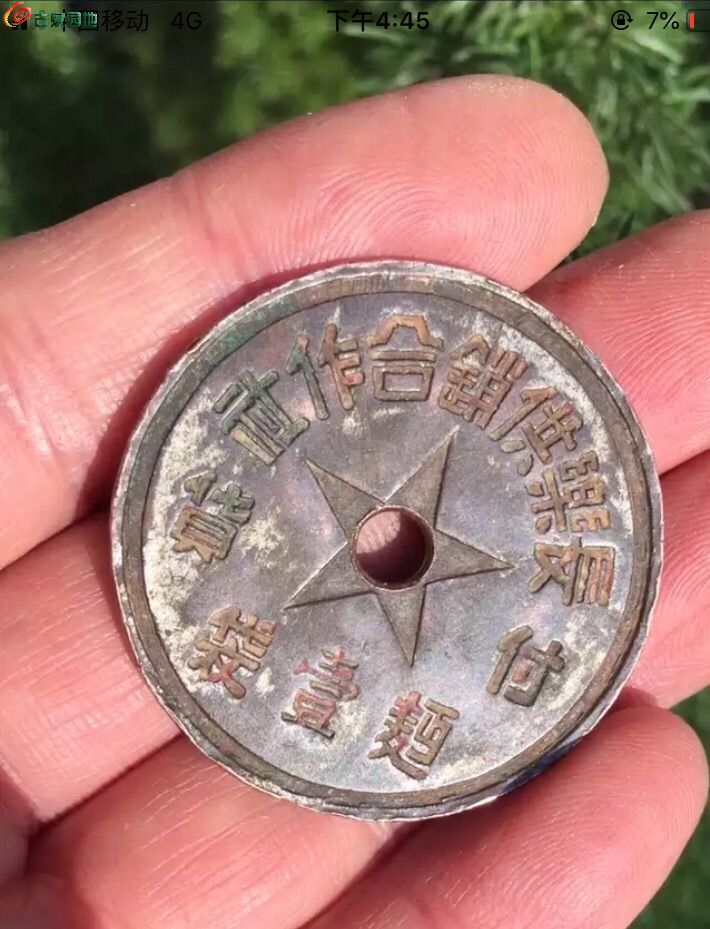 18654.jpg