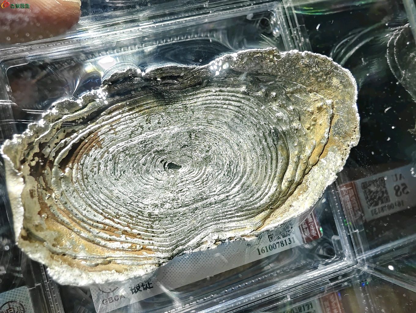 图片点击可在新窗口打开查看