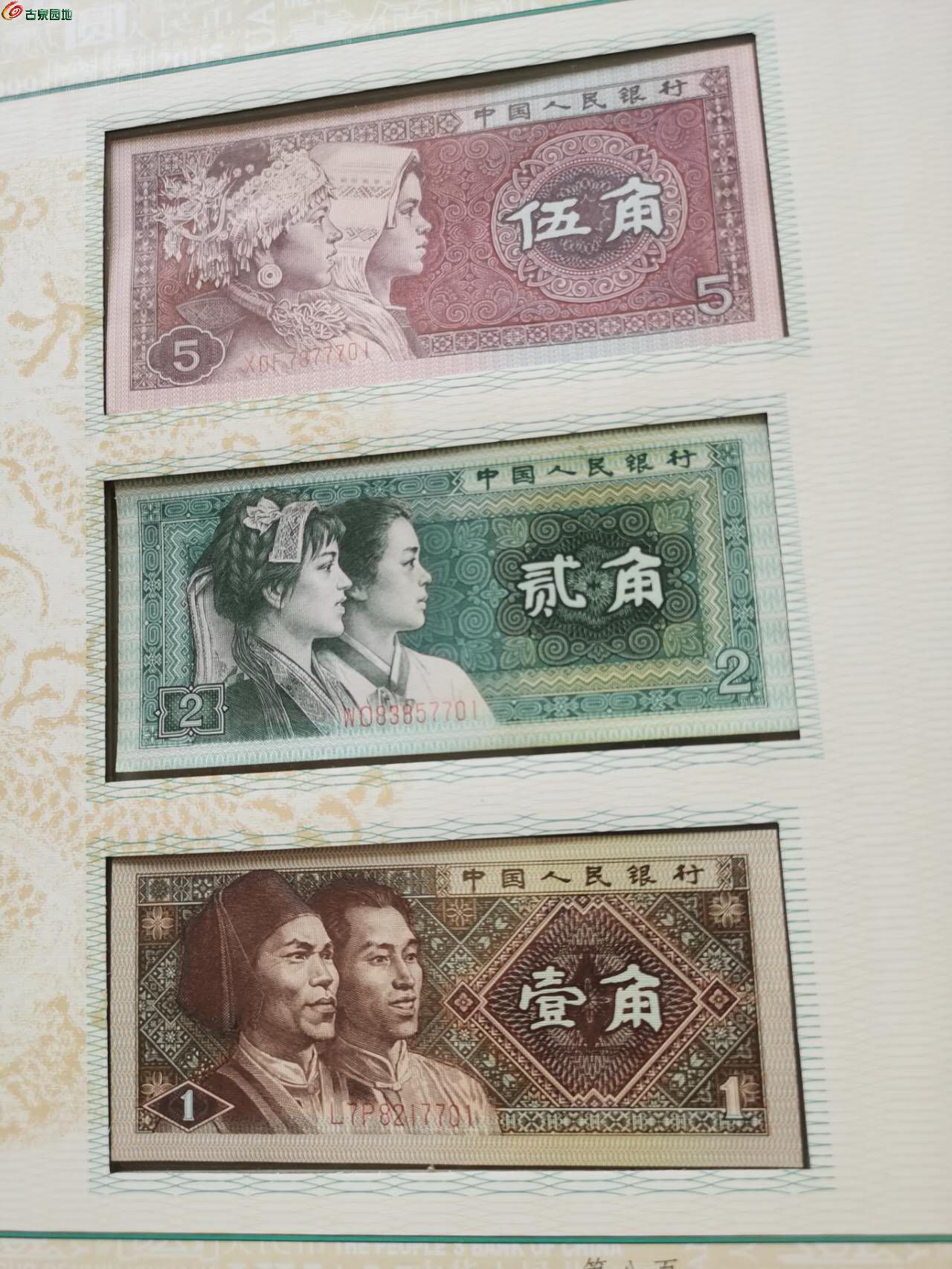 91965.jpg