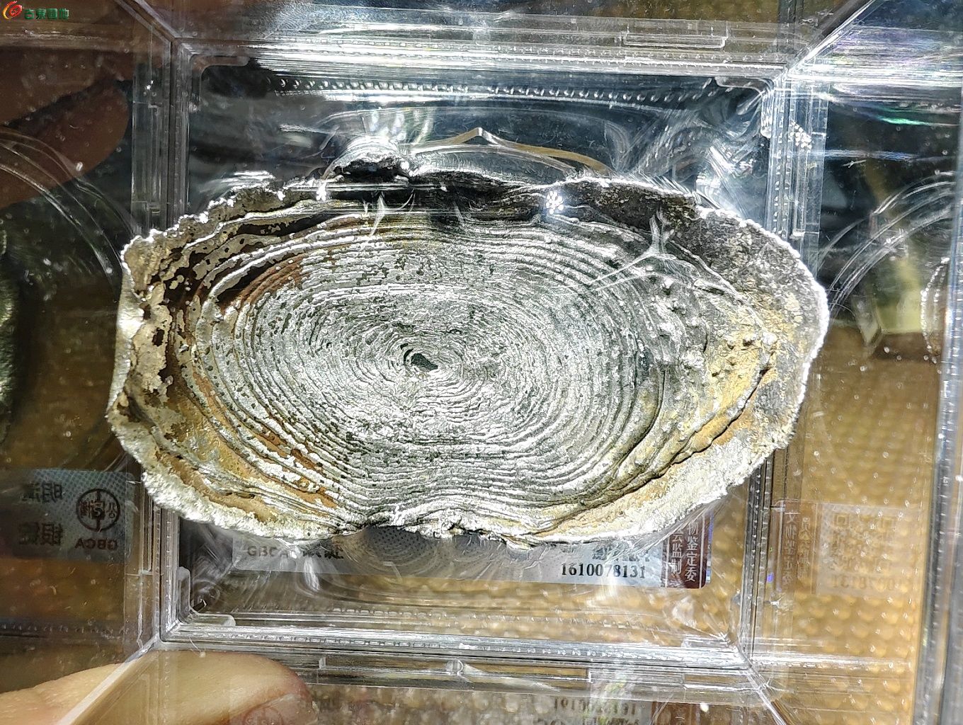 图片点击可在新窗口打开查看