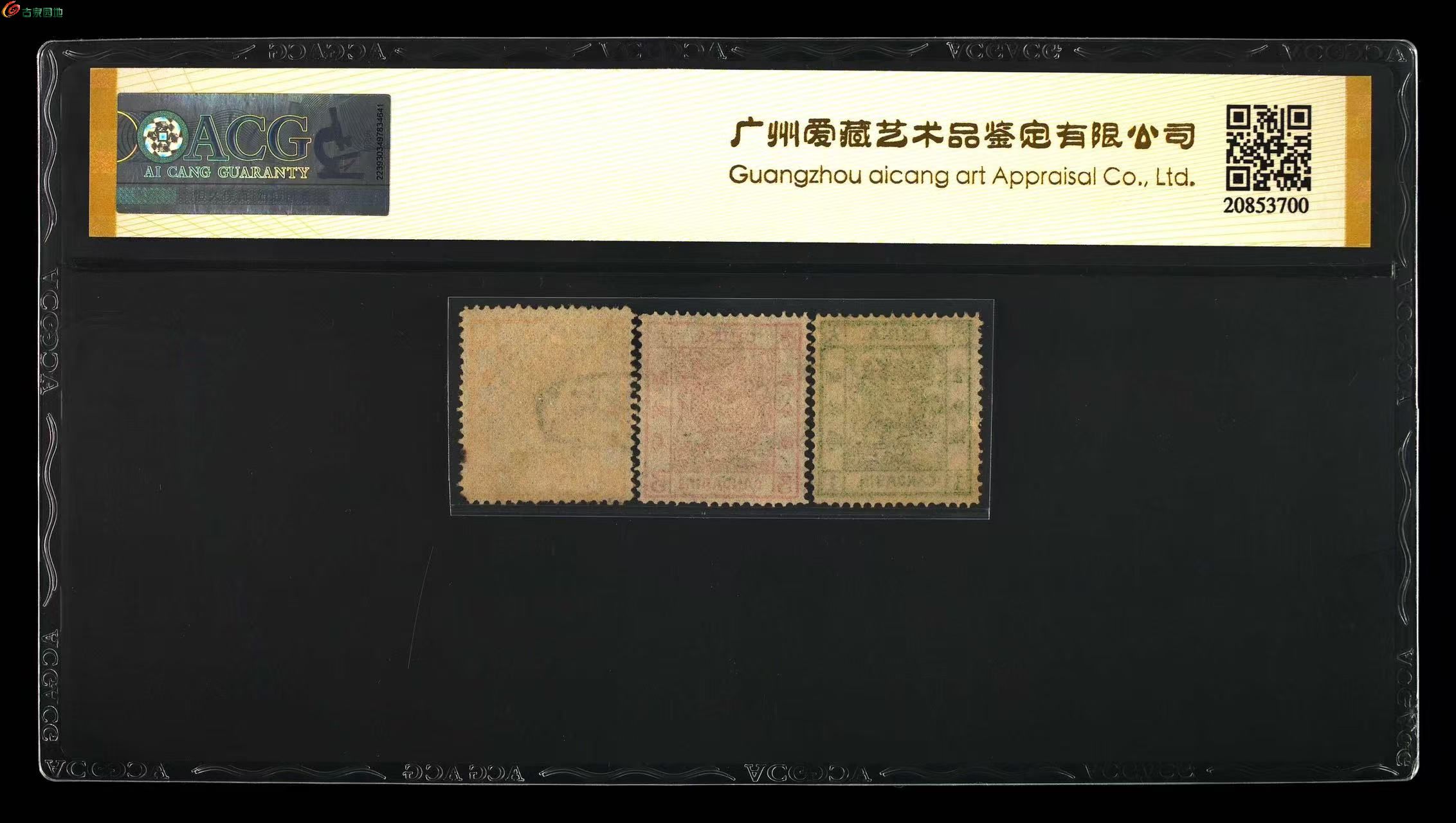 mmexport1747245680832.jpg