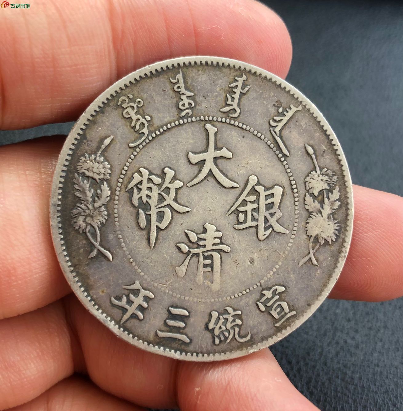 QQ图片20250526104450.jpg