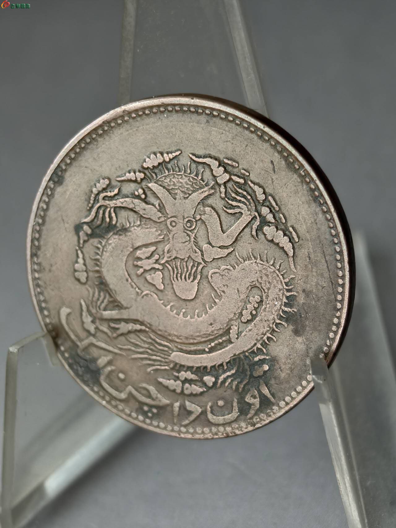 26320.jpg