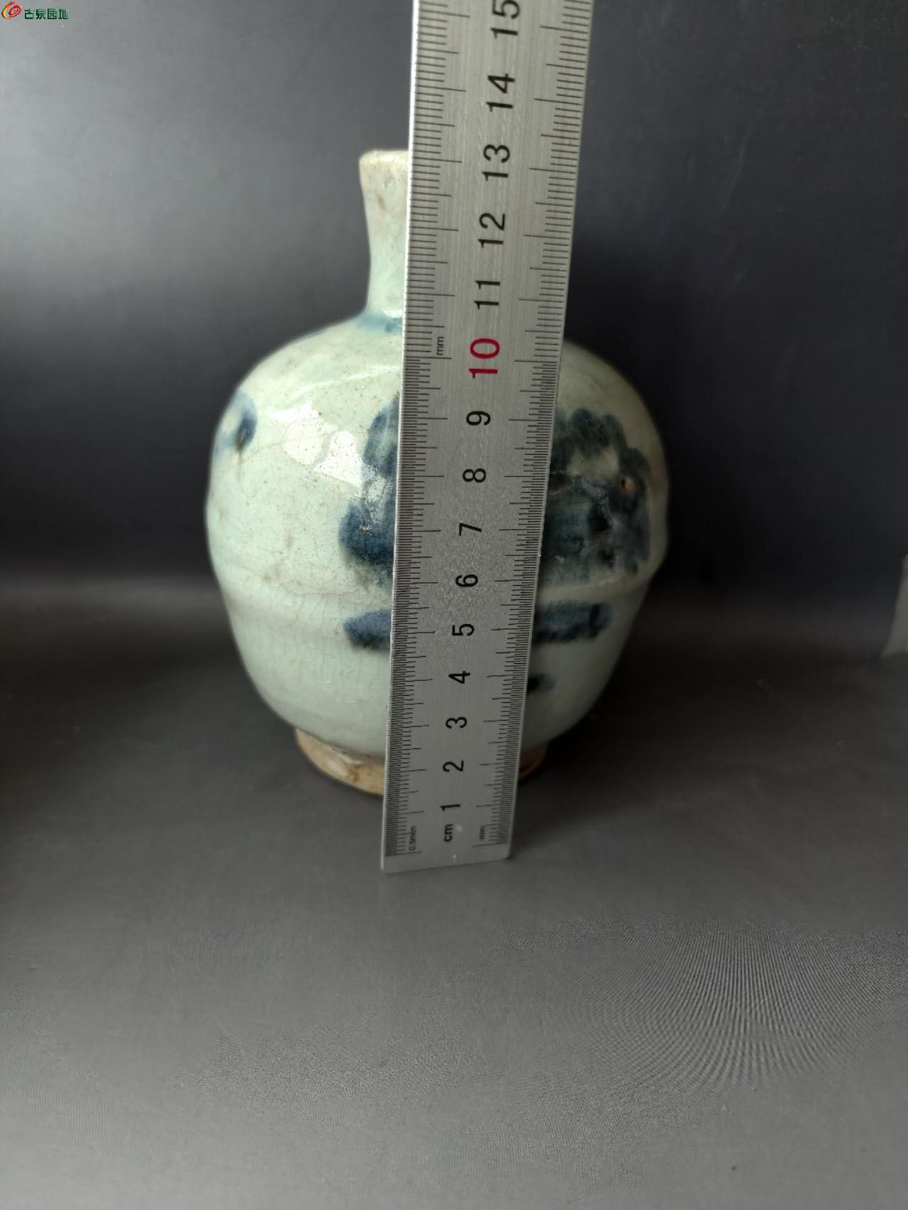 54461.jpg