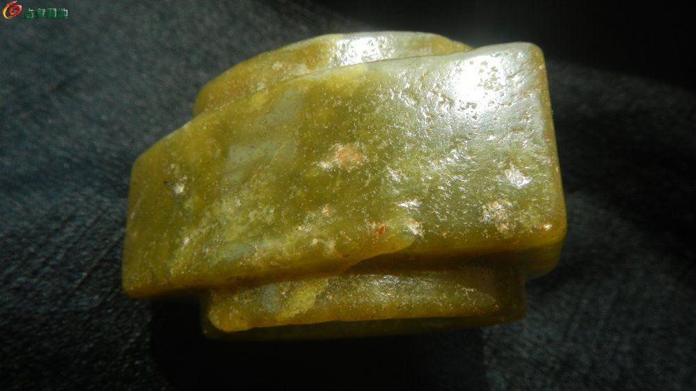 DSCN1216.JPG