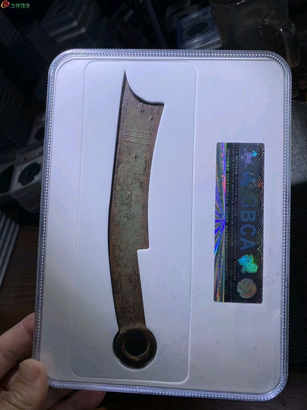 1748583417418.xfile.jpg