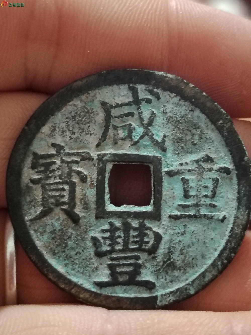1000232187.jpg