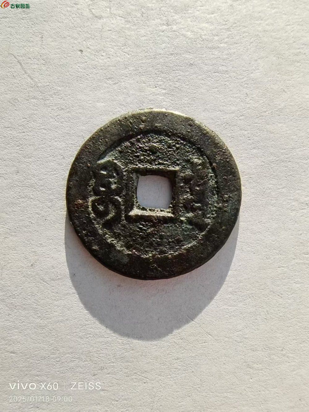 119.jpg