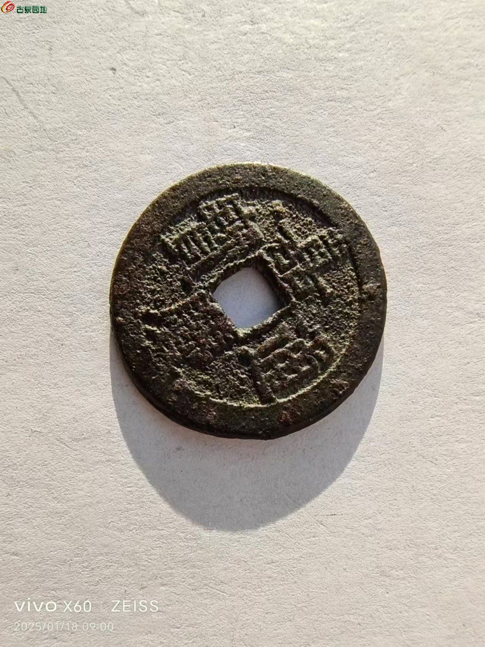 120.jpg