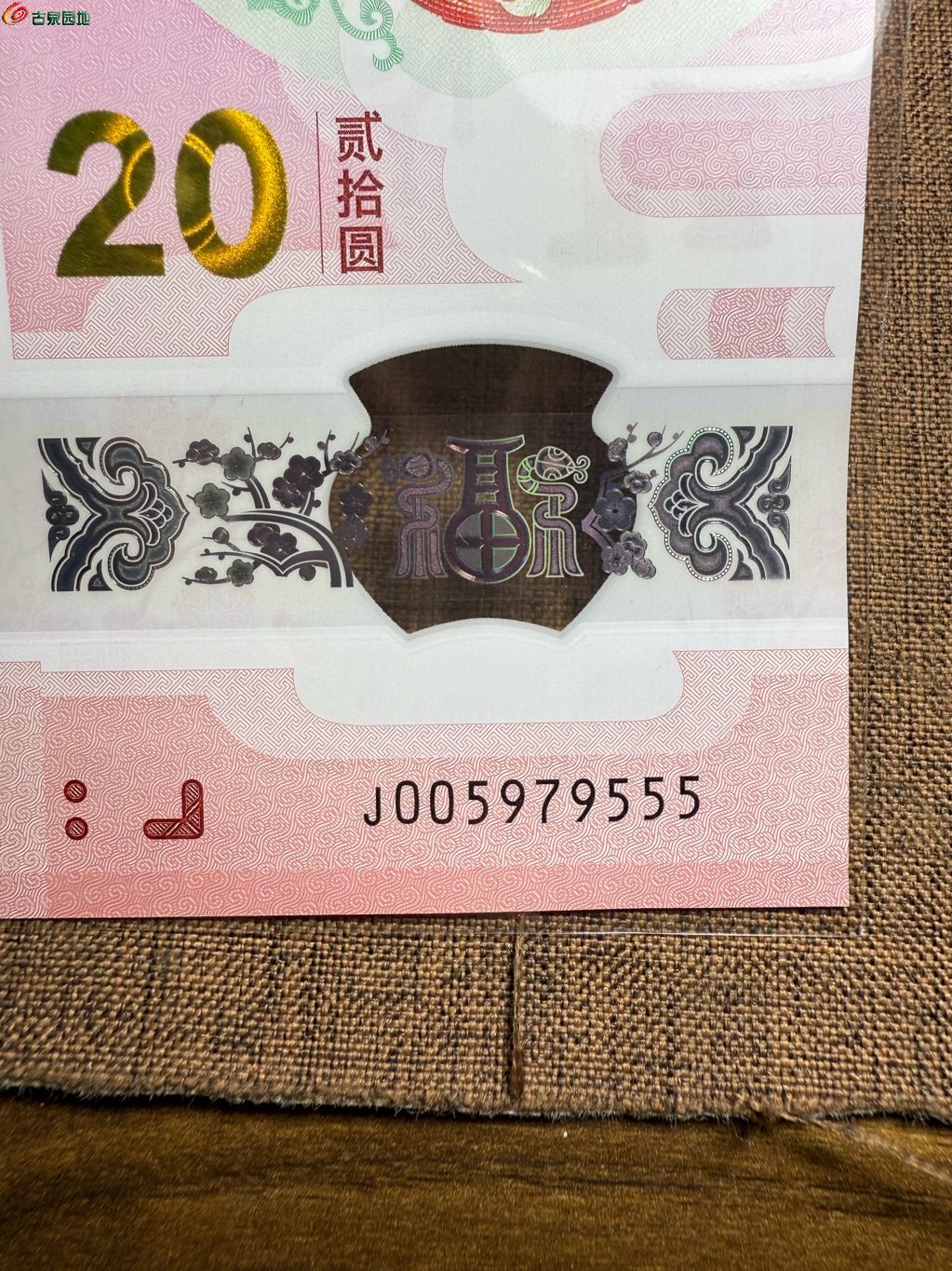 1748772713815.xfile.jpg