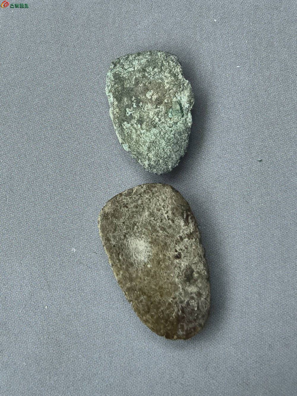 65064.jpg