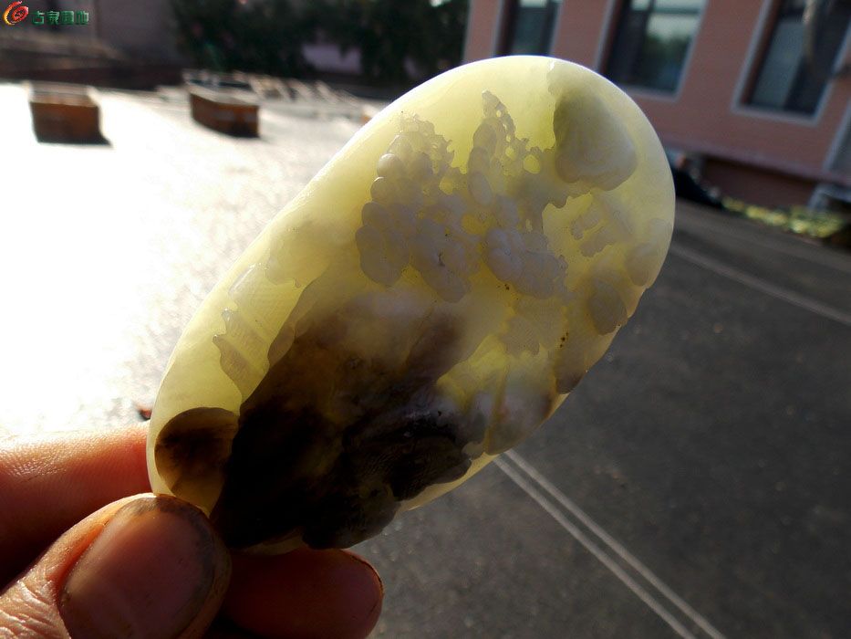 DSCN1540_调整大小.JPG