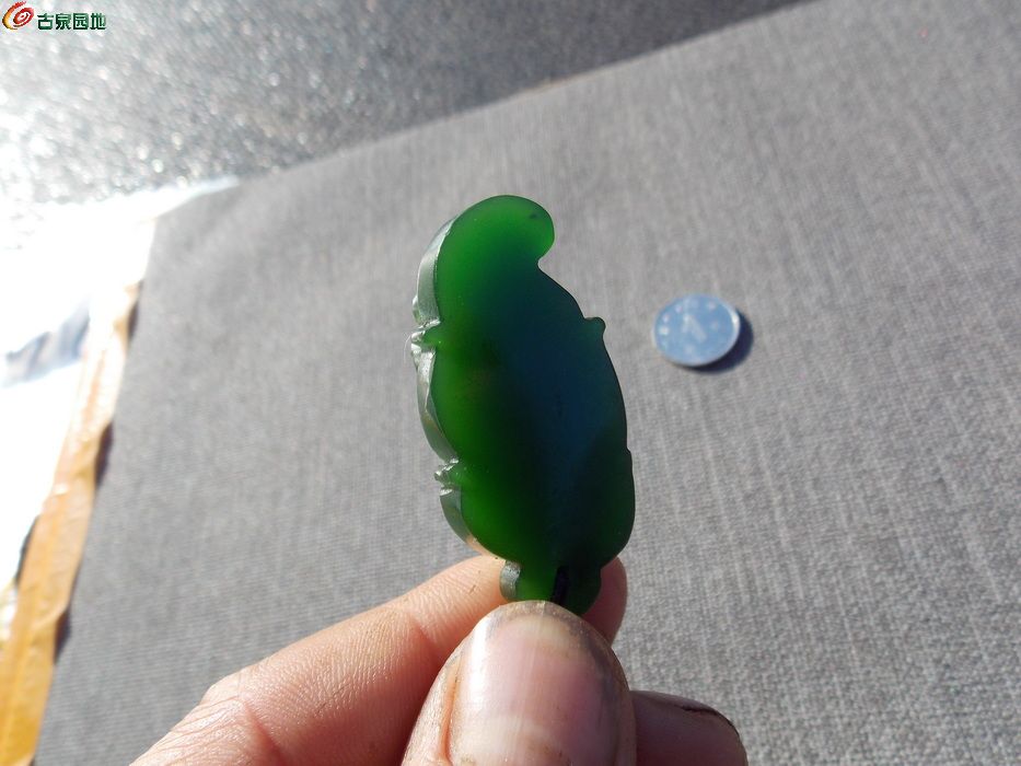 DSCN1570_调整大小.JPG